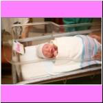IMG_3340.jpg