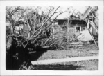 image011-2e.jpg