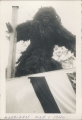 DocImage377.jpg