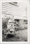 image157.jpg
