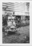 image173.jpg