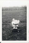 image191.jpg