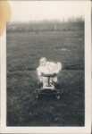 image252.jpg